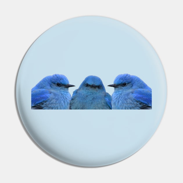 Bluebird Trio Pin by Whisperingpeaks