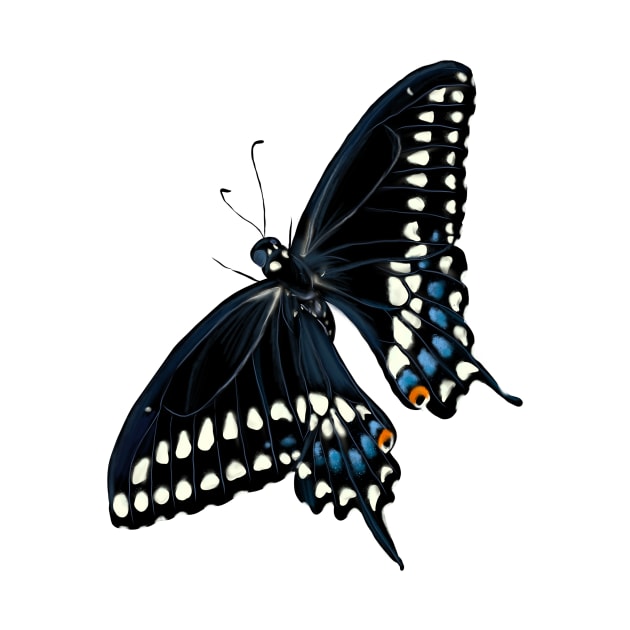 Black Swallowtail Butterfly by KatieMorrisArt