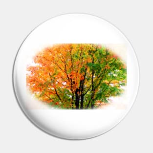 Leaves Changing Colors Pin