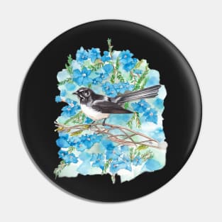 Willie Wagtail on Lechenaultia Pin