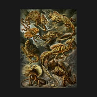 Ernst Haeckel Lacertilia Lizards T-Shirt