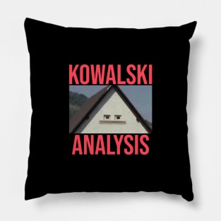 Kowalski Analysis Pillow