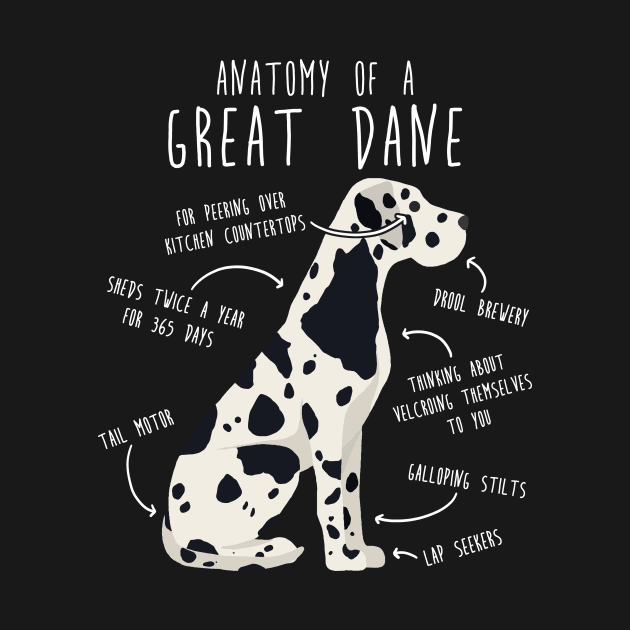 Harlequin Great Dane Dog Anatomy by Psitta