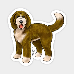 Dog - Bernadoodle - Cream and Brown Magnet