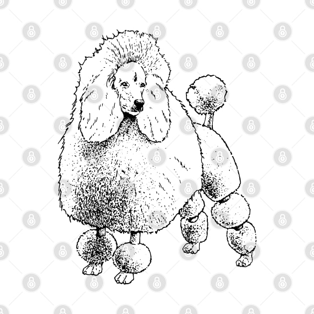 Poodle Puffy Poodle French Design by penandinkdesign@hotmail.com