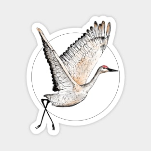 Flying Sandhill Crane Illustration / Crane Bird Drawing / Flying Crane Art Print Magnet