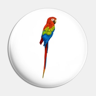 parrot Pin