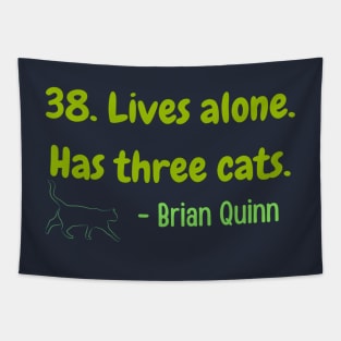 38. Lives alone. Has three cats. Funny Tapestry