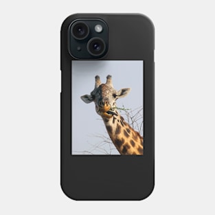 Maasai or Masai, Giraffe, Serengeti, Tanzania Phone Case