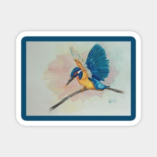 Blue Kingfisher, bird art print, Kingfishers Magnet