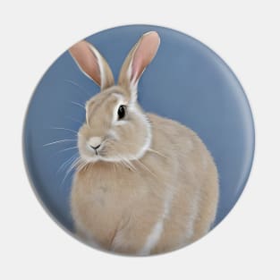 Chinese Zodiac Rabbit Pin