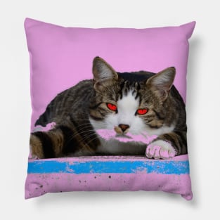 Hangover cat Pillow