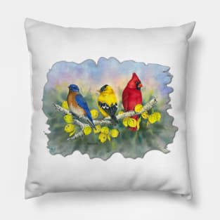 Primary colors Pillow