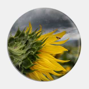 The Sunflower Pin