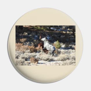 Wild horses, wildlife, nature, gifts Pin