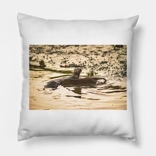 Otter River 2 Pillow