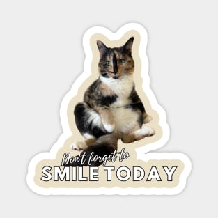 Snickers The Cat - Don't Forget to Smile Today Magnet