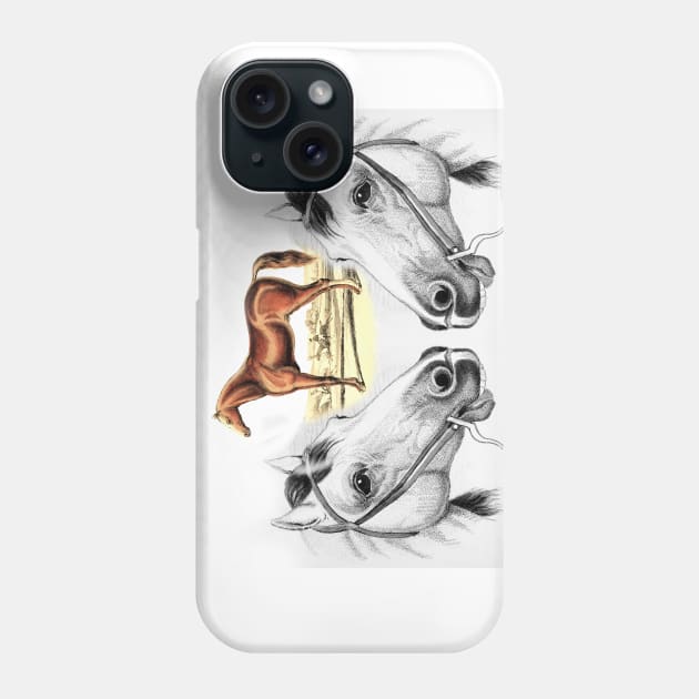 Horse head Phone Case by Marccelus