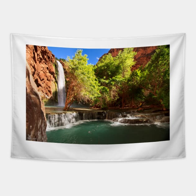 Mooney Falls Tapestry by valentina9