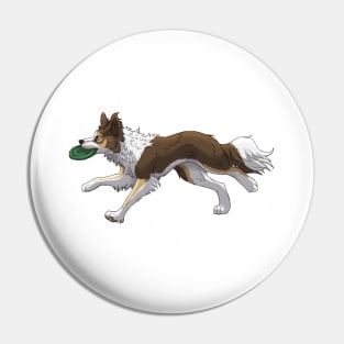 Running Tricolor Brown Border Collie with Frisbee Pin