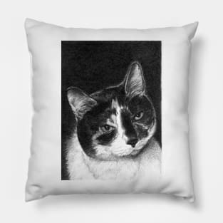 SMUDGE Pillow