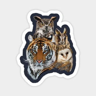 Bengal tiger and owls Magnet