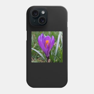 Purple and Orange Flower in Grass Phone Case