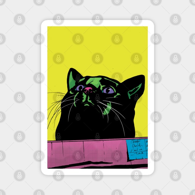 Fat Cat in a Box Magnet by ElenaCasiglio