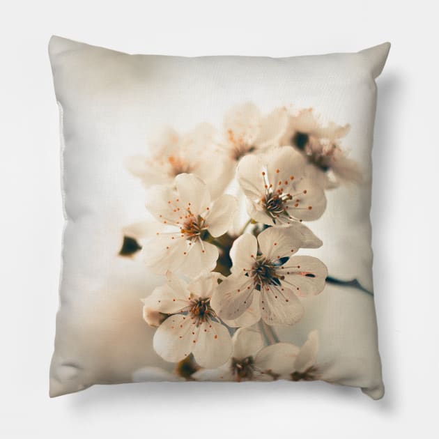 White Cherry Blossom Pillow by Islanr