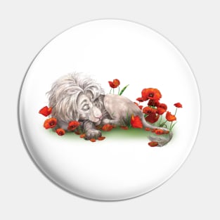 White lion sleeps in a poppy field Pin