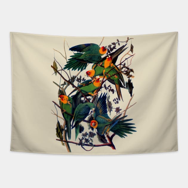 John J. Audubon Carolina Parakeet Tapestry by Dystopianpalace