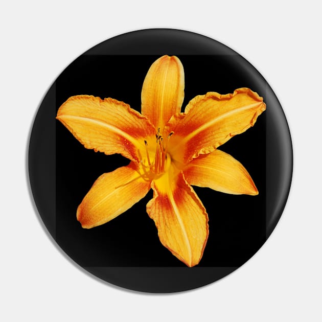 Orange Lily Pin by jojobob