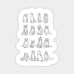 Taxonomy of Cat Breeds Magnet