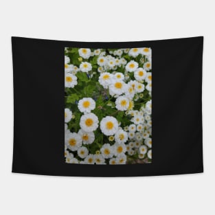 gift for birthday, happy birthday, beautiful, flower Tapestry