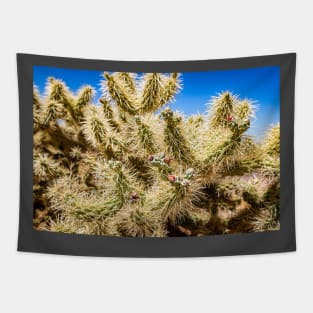 Cholla Cactus along the Apache Trail Tapestry