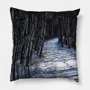 Trail tracks Pillow