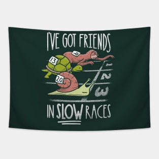 Funny Sloth - I've got friends in slow races Tapestry