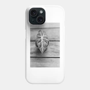 Alocasia Polly Phone Case