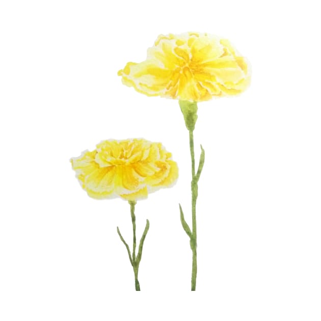 Two yellow carnation watercolor painting by colorandcolor