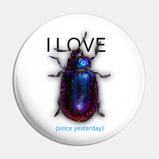 I LOVE *beetle* since yesterday Pin