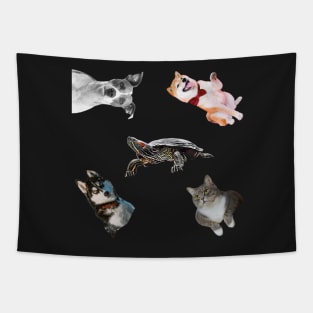 Animal pets Sticker Pack Tapestry