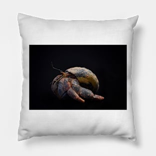 Hermit crab Pillow