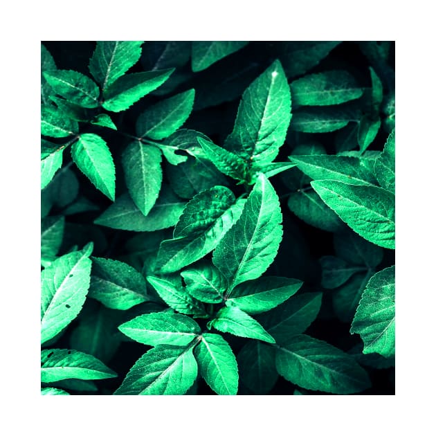 Green Leaves by Horisondesignz