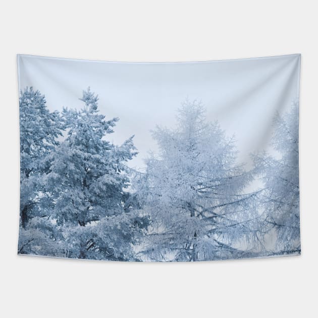 Winter wonderland Tapestry by Purrfect