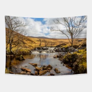 Moorland Falls Tapestry