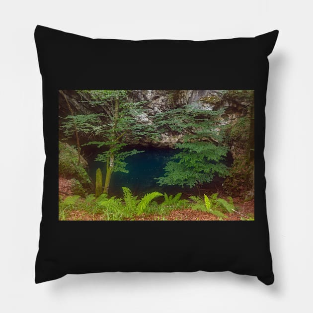 Lacul Dracului in Romania Pillow by naturalis