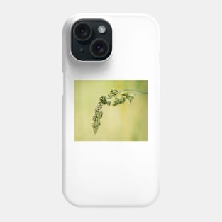 31715 wheat Phone Case