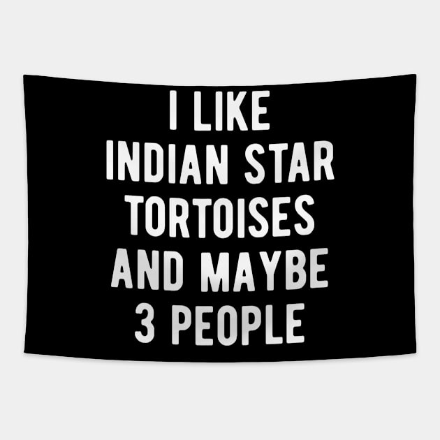 I like indian star tortoises and maybe 3 people Tapestry by BlueTodyArt