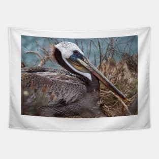 Pelican III Tapestry