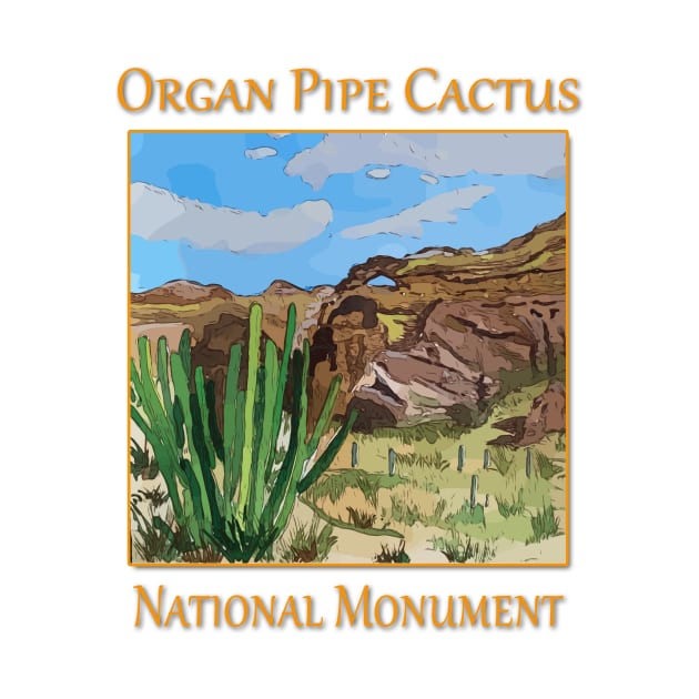 Organ Pipe Cactus National Monument in Arizona by WelshDesigns